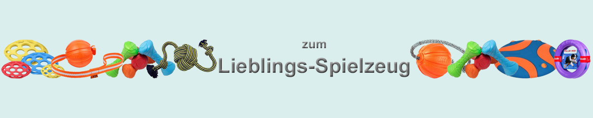 Spielzeug_Banner