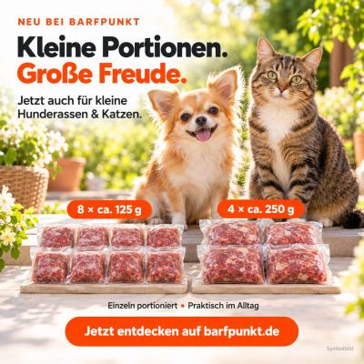 Preview: kleine Packung_große Freude