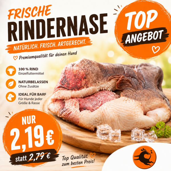 Rindernase