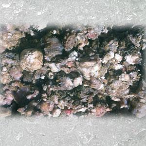 Pansen vom Rind 500g