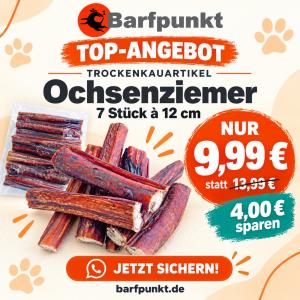 Top Angebot